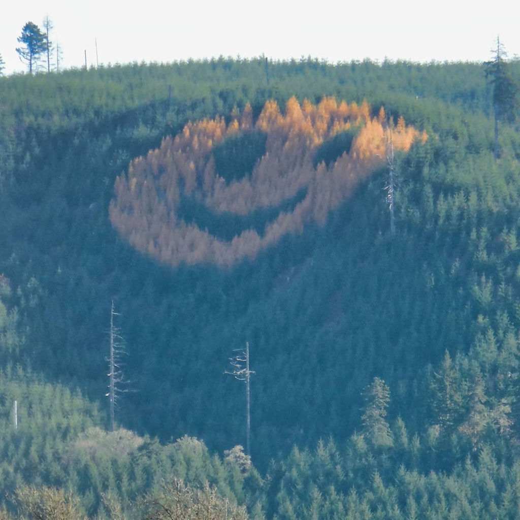 Beauty and Positivity Project Day 340 - A Giant Happy Face on a Hillside Made of Trees